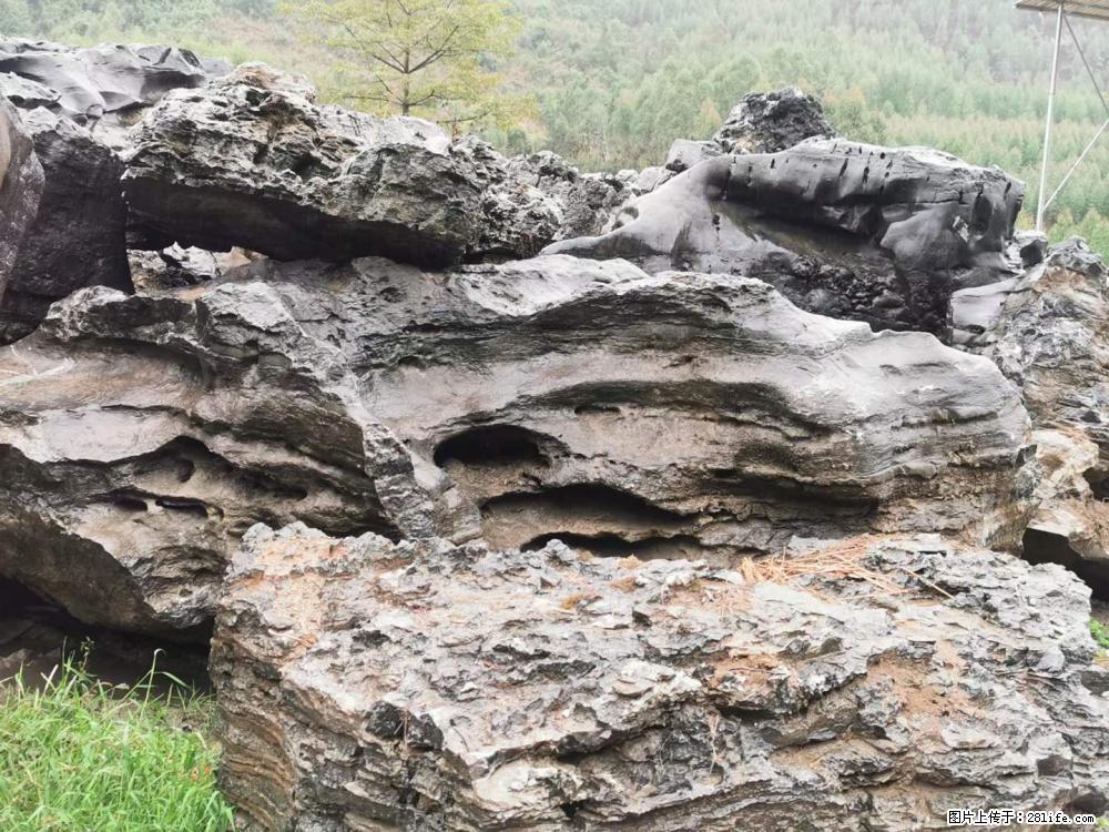 风景石、假山石大量有货,有需要的欢迎联系 - 新手上路 - 芜湖生活社区 - 芜湖28生活网 wuhu.28life.com