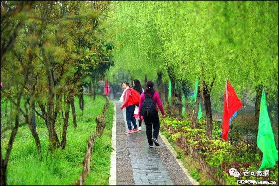 【春天,广西桂林灌阳县向您发出邀请!】江口老街又逢春 - 游山玩水 - 芜湖生活社区 - 芜湖28生活网 wuhu.28life.com
