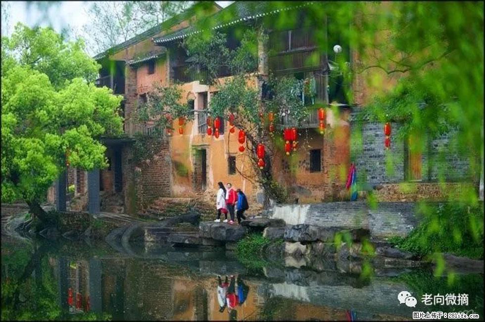 【春天,广西桂林灌阳县向您发出邀请!】江口老街又逢春 - 游山玩水 - 芜湖生活社区 - 芜湖28生活网 wuhu.28life.com