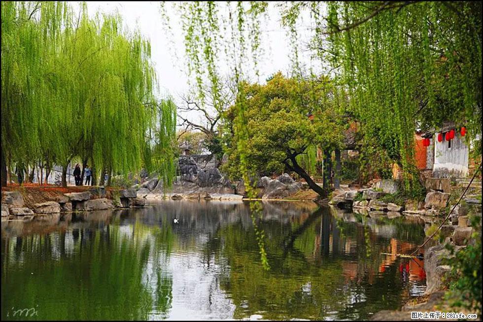 【春天,广西桂林灌阳县向您发出邀请!】江口老街又逢春 - 游山玩水 - 芜湖生活社区 - 芜湖28生活网 wuhu.28life.com