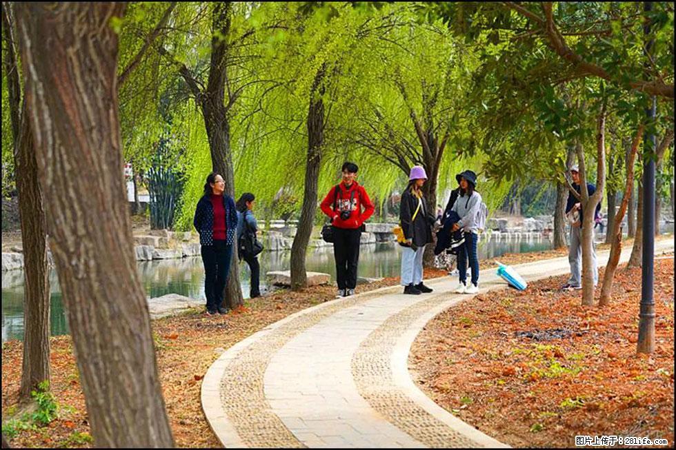 【春天,广西桂林灌阳县向您发出邀请!】江口老街又逢春 - 游山玩水 - 芜湖生活社区 - 芜湖28生活网 wuhu.28life.com