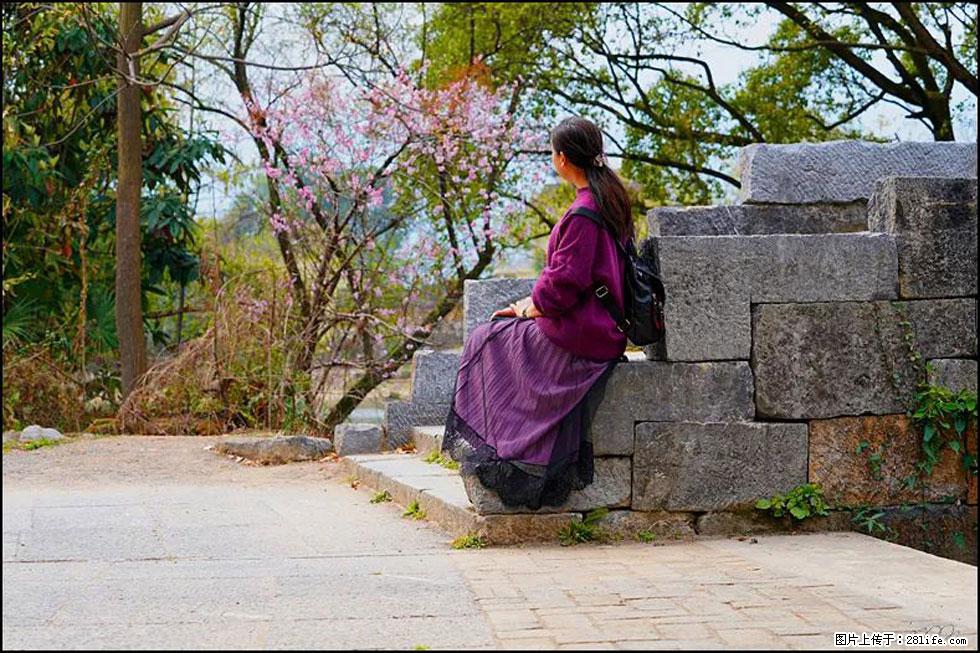 【春天,广西桂林灌阳县向您发出邀请!】江口老街又逢春 - 游山玩水 - 芜湖生活社区 - 芜湖28生活网 wuhu.28life.com