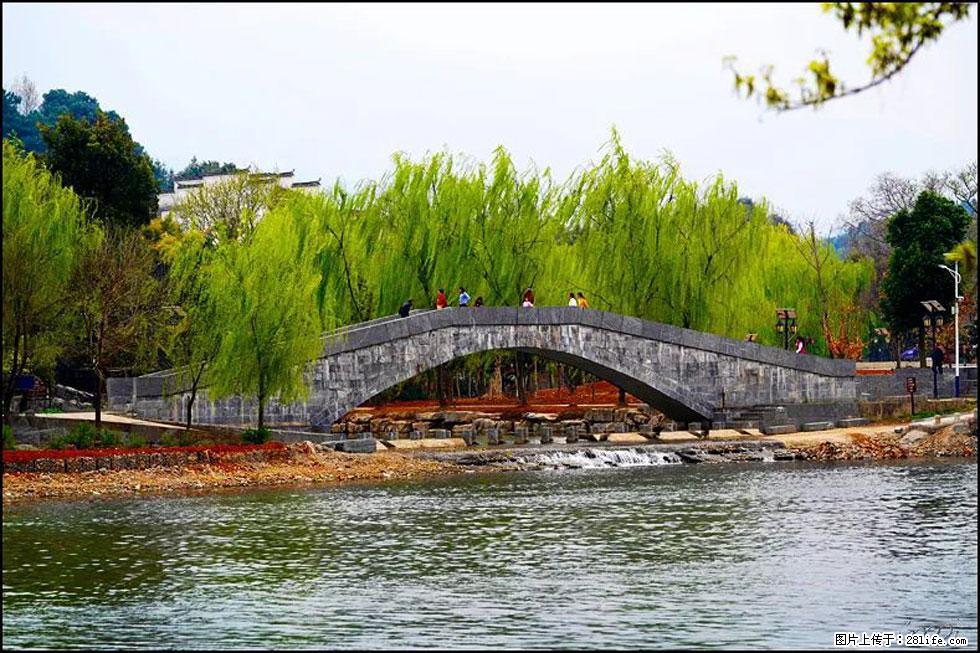 【春天,广西桂林灌阳县向您发出邀请!】江口老街又逢春 - 游山玩水 - 芜湖生活社区 - 芜湖28生活网 wuhu.28life.com