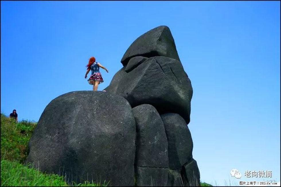 【春天,广西桂林灌阳县向您发出邀请!】宝盖山上映山红 - 游山玩水 - 芜湖生活社区 - 芜湖28生活网 wuhu.28life.com