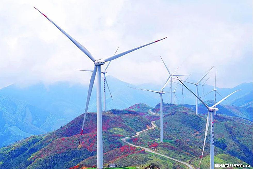 【春天,广西桂林灌阳县向您发出邀请!】春木界上映山红 - 游山玩水 - 芜湖生活社区 - 芜湖28生活网 wuhu.28life.com