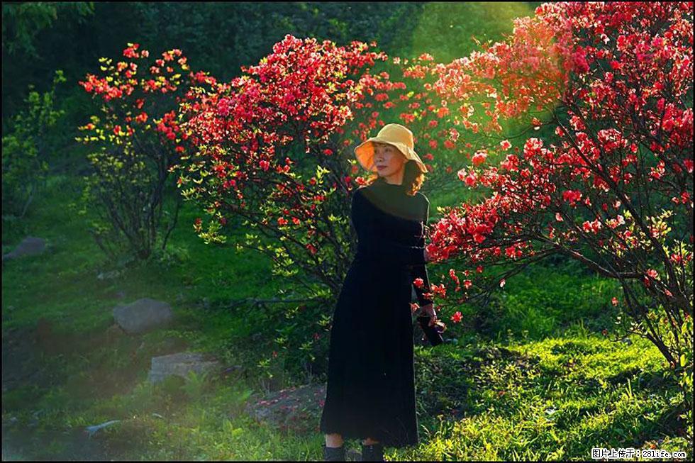 【春天,广西桂林灌阳县向您发出邀请!】春木界上映山红 - 游山玩水 - 芜湖生活社区 - 芜湖28生活网 wuhu.28life.com