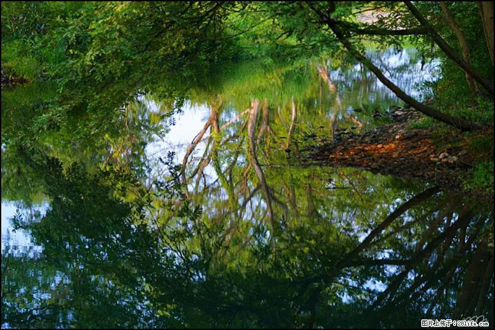 【春天,广西桂林灌阳县向您发出邀请!】熊家寨湿地公园 - 游山玩水 - 芜湖生活社区 - 芜湖28生活网 wuhu.28life.com
