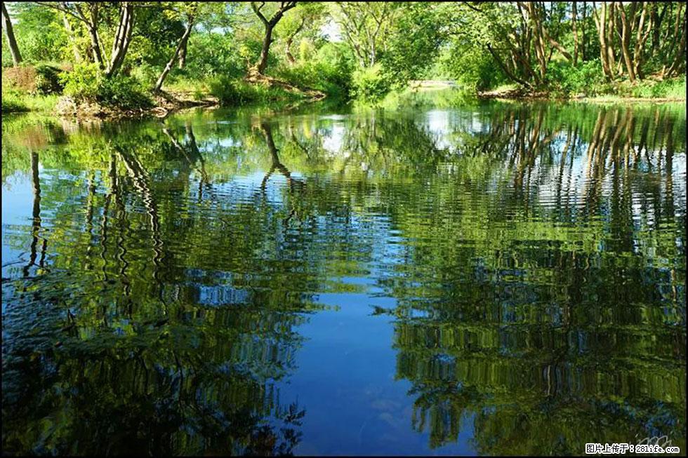 【春天,广西桂林灌阳县向您发出邀请!】熊家寨湿地公园 - 游山玩水 - 芜湖生活社区 - 芜湖28生活网 wuhu.28life.com