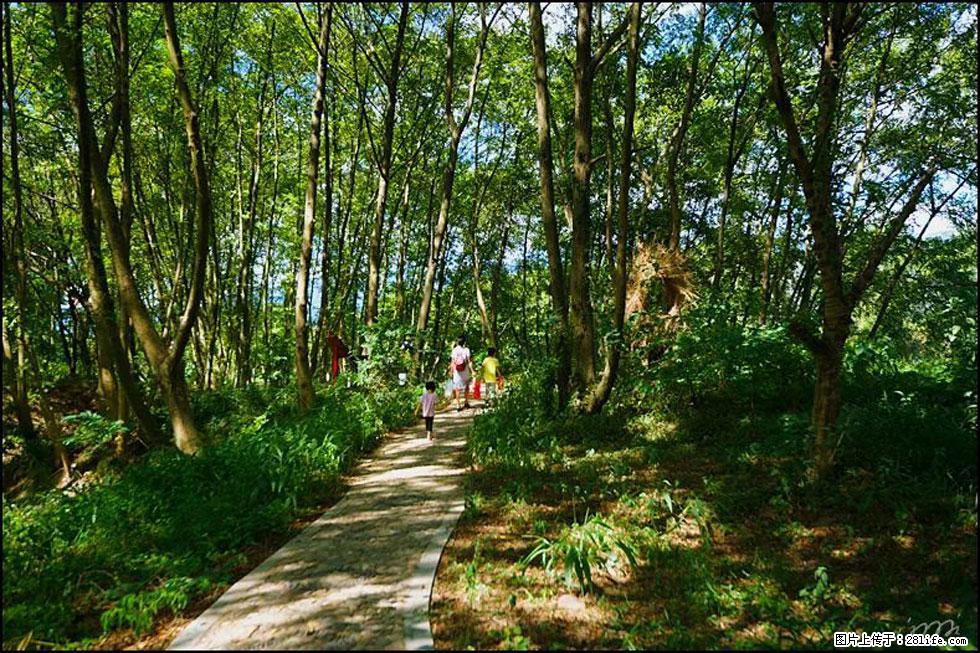 【春天,广西桂林灌阳县向您发出邀请!】熊家寨湿地公园 - 游山玩水 - 芜湖生活社区 - 芜湖28生活网 wuhu.28life.com