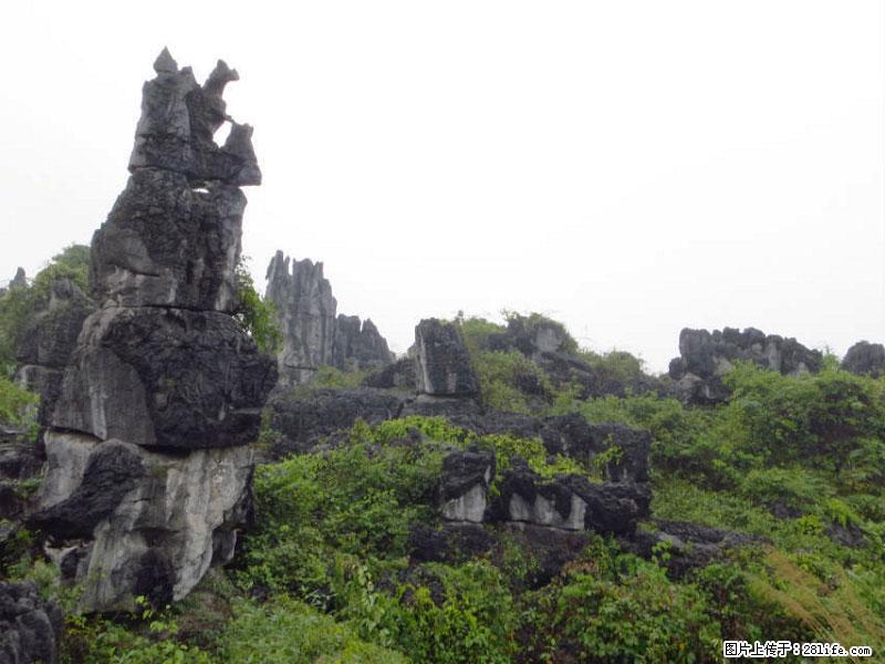 桂林旅游名城景点:灌阳文市石林 - 游山玩水 - 芜湖生活社区 - 芜湖28生活网 wuhu.28life.com