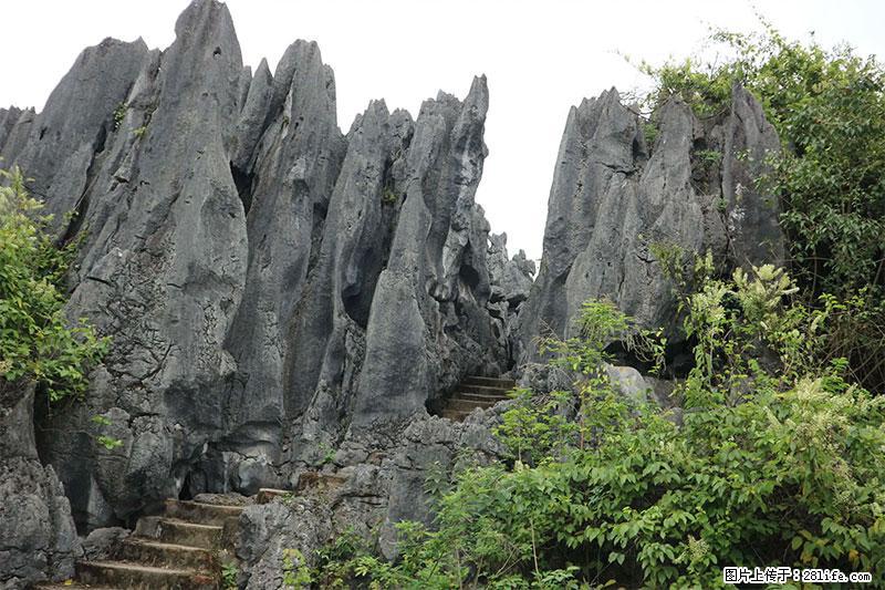 桂林旅游名城景点:灌阳文市石林 - 游山玩水 - 芜湖生活社区 - 芜湖28生活网 wuhu.28life.com