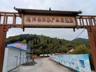【灌阳县油茶产业示范区】一个有着充实的精神生活的人,对待身外之物自会有一种淡泊的态度 - 芜湖28生活网 wuhu.28life.com