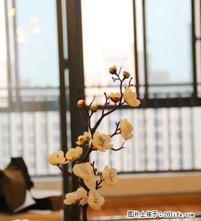 (个人)东方龙城采薇苑3房2厅豪华装修,支持月付,免中介费 - 房屋出租 - 房屋租售 - 芜湖分类信息 - 芜湖28生活网 wuhu.28life.com