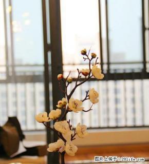 (个人)东方龙城采薇苑3房2厅豪华装修，支持月付，免中介费 - 芜湖28生活网 wuhu.28life.com