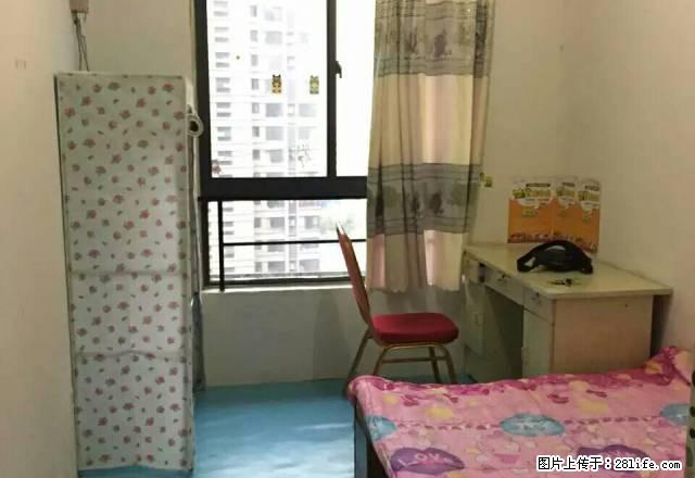 (单间出租)新时代商业街 金域蓝湾 金鹰国际 附近 单间出租 - 房屋出租 - 房屋租售 - 芜湖分类信息 - 芜湖28生活网 wuhu.28life.com