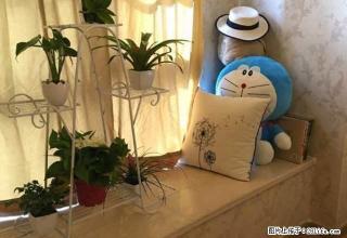 华强广场 名流 白金湾 精装全设交通便利 - 芜湖28生活网 wuhu.28life.com