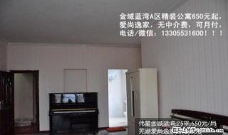 (个人)步行街、商业街、鸿汇城旁精装家庭式公寓可月付 - 芜湖28生活网 wuhu.28life.com