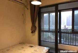 (单间出租)个人出租+可月付+芜湖多个小区精装公寓+配套齐全 - 芜湖28生活网 wuhu.28life.com