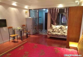 万达单身公寓 1300包物业急租 房间干净整洁 钻石楼层 - 芜湖28生活网 wuhu.28life.com