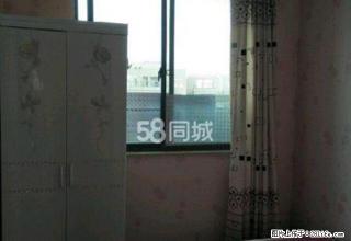 儒林西苑 2室1厅1卫精装修,拎包入住,出租 - 芜湖28生活网 wuhu.28life.com