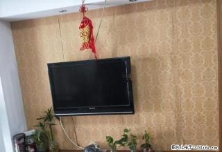 儒林西苑 1500元 2室1厅1卫 精装修,环境幽静,居住舒 - 芜湖28生活网 wuhu.28life.com
