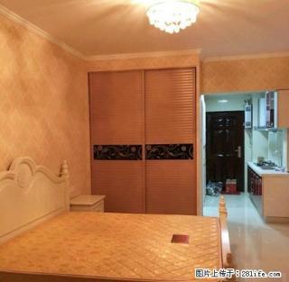 左岸公寓 欧式风格 全装修 全设施 拎包入住 看房方便 - 芜湖28生活网 wuhu.28life.com