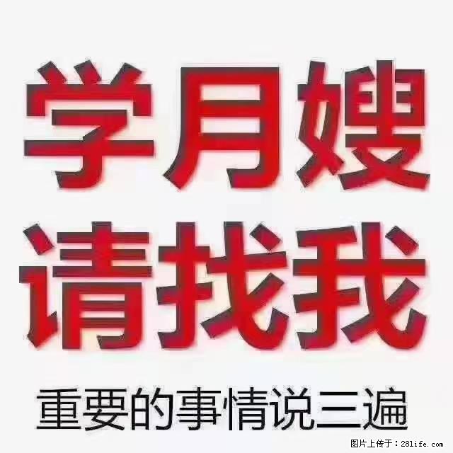 【招聘】月嫂,上海徐汇区 - 职场交流 - 芜湖生活社区 - 芜湖28生活网 wuhu.28life.com