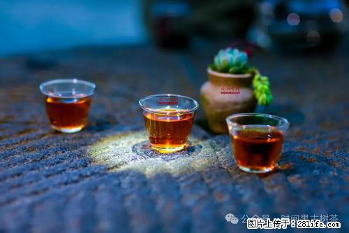 时间果百年古树2025年春红茶 - 购物交流 - 芜湖生活社区 - 芜湖28生活网 wuhu.28life.com