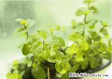 晕车、脚气、牙齿变黄、皮肤粗糙?学会这些三分钟搞定! - 芜湖生活资讯 - 芜湖28生活网 wuhu.28life.com