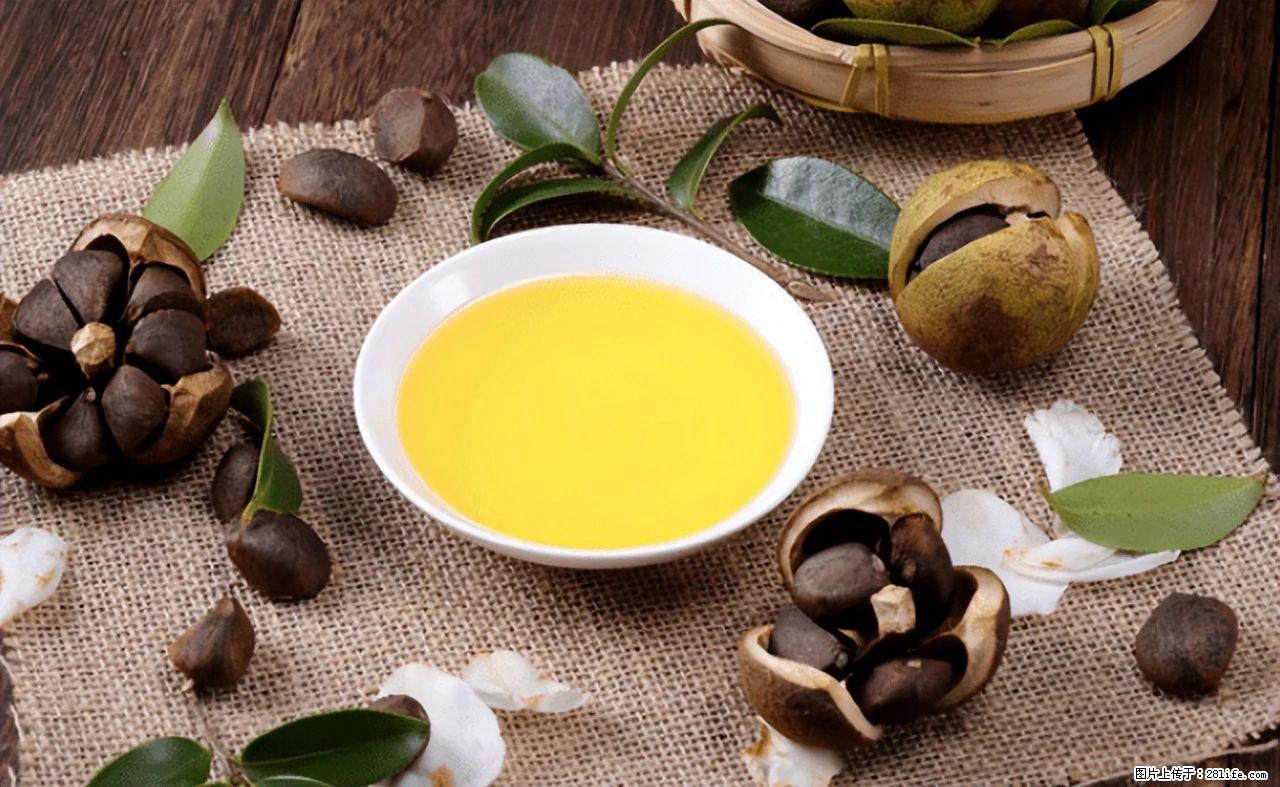 揭秘茶油的5大核心营养成分！被称为人体健康的“守护盾”！ - 芜湖生活资讯 - 芜湖28生活网 wuhu.28life.com