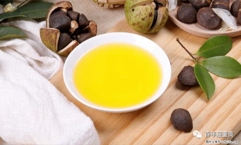 揭秘茶油的5大核心营养成分！被称为人体健康的“守护盾”！ - 芜湖生活资讯 - 芜湖28生活网 wuhu.28life.com