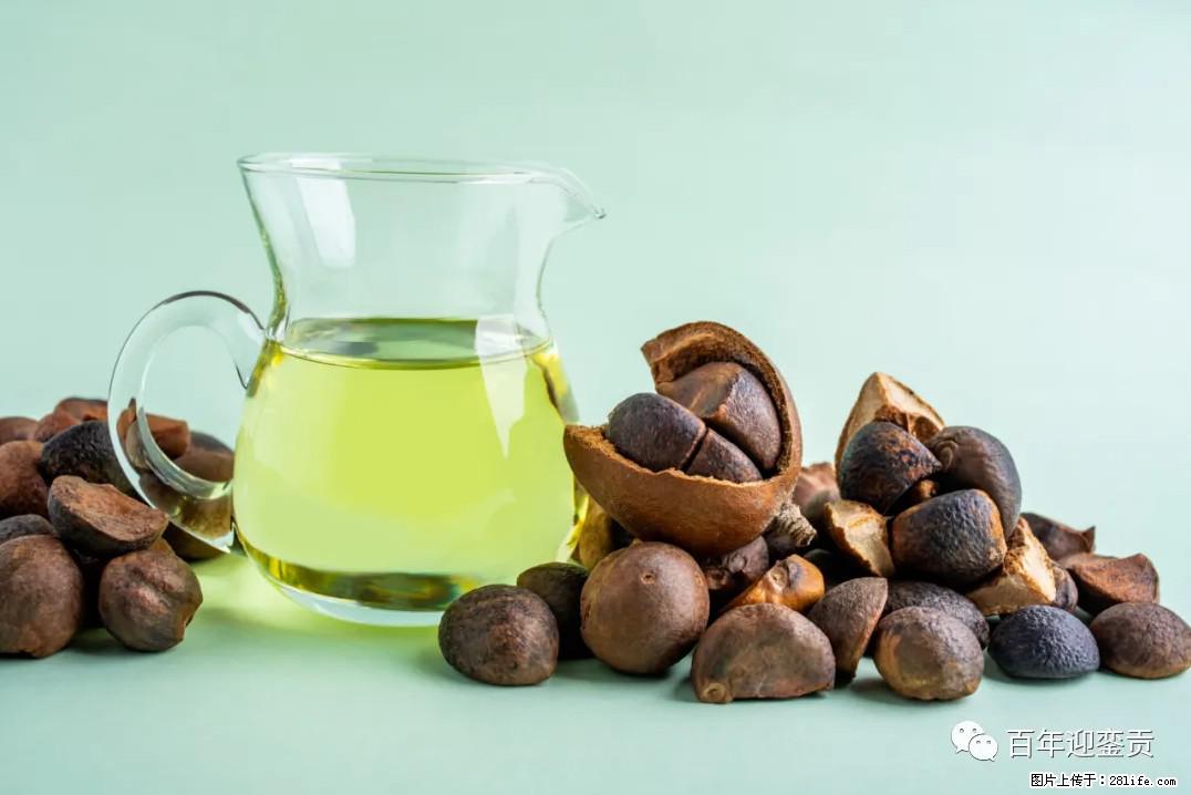 世界没有真相，只有认知，最好的食用油是中国的山茶油！ - 芜湖生活资讯 - 芜湖28生活网 wuhu.28life.com