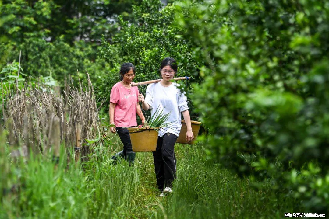 全网追的“扁担女孩”，找了一份暑假工，时薪12元 - 芜湖生活资讯 - 芜湖28生活网 wuhu.28life.com