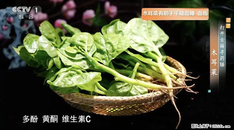 比牛奶补钙还厉害！凉血解毒、稳血糖...这菜冬天必吃，很多人却当草 - 芜湖生活资讯 - 芜湖28生活网 wuhu.28life.com