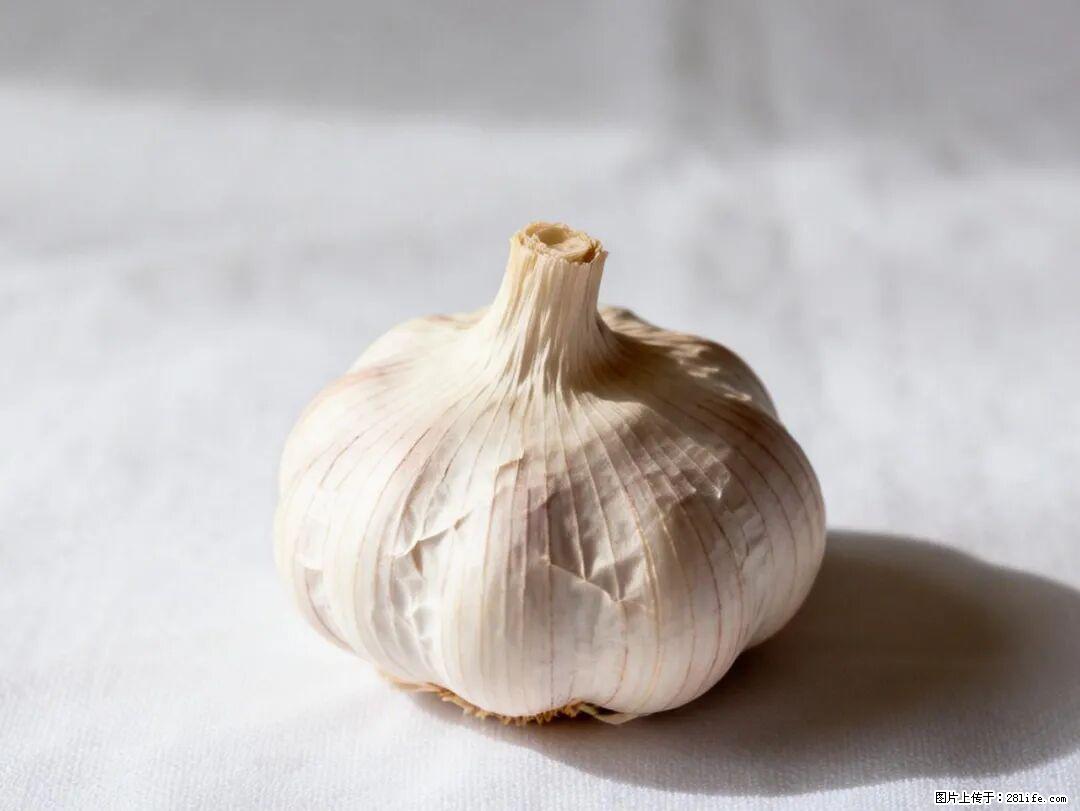 关于大蒜,除了“天然抗生素”,这4个谣言更该警惕! - 芜湖生活资讯 - 芜湖28生活网 wuhu.28life.com