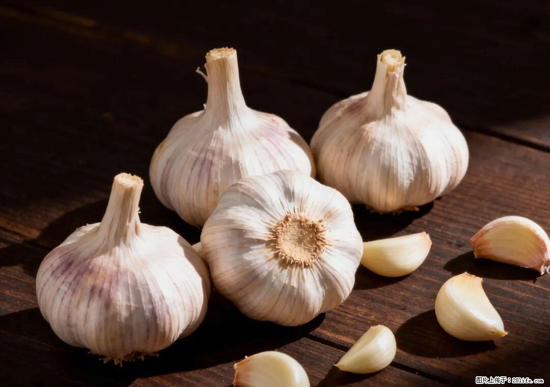 关于大蒜,除了“天然抗生素”,这4个谣言更该警惕! - 芜湖生活资讯 - 芜湖28生活网 wuhu.28life.com