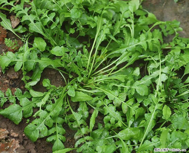 这些蔬菜是“天然钙片”，这6种被医生重点推荐 - 芜湖生活资讯 - 芜湖28生活网 wuhu.28life.com